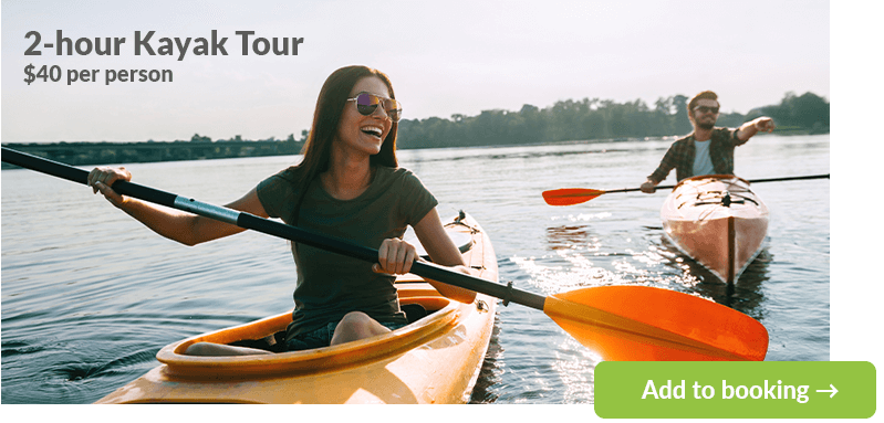 Activities---Kayak-Tour-799px-wide