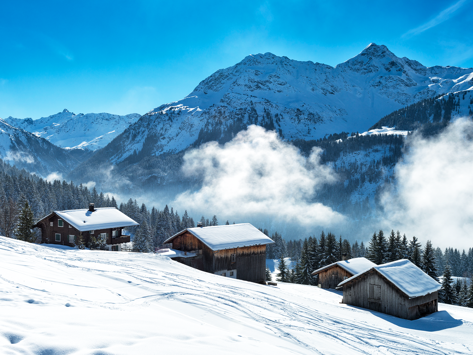 Lodge Management Software | Newbook