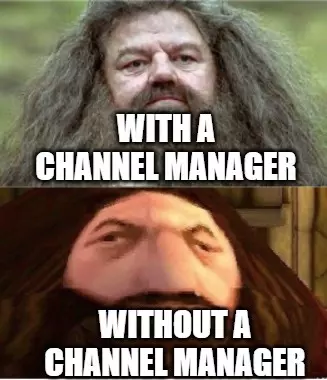 Hagrid meme