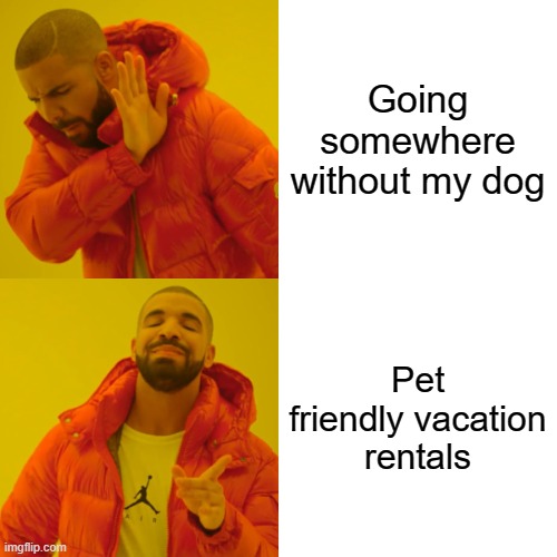 Going somwhere without dog