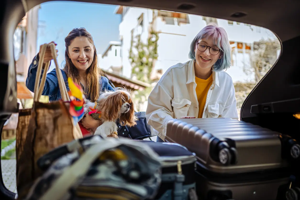 benefits-of-hotels-pet-friendly