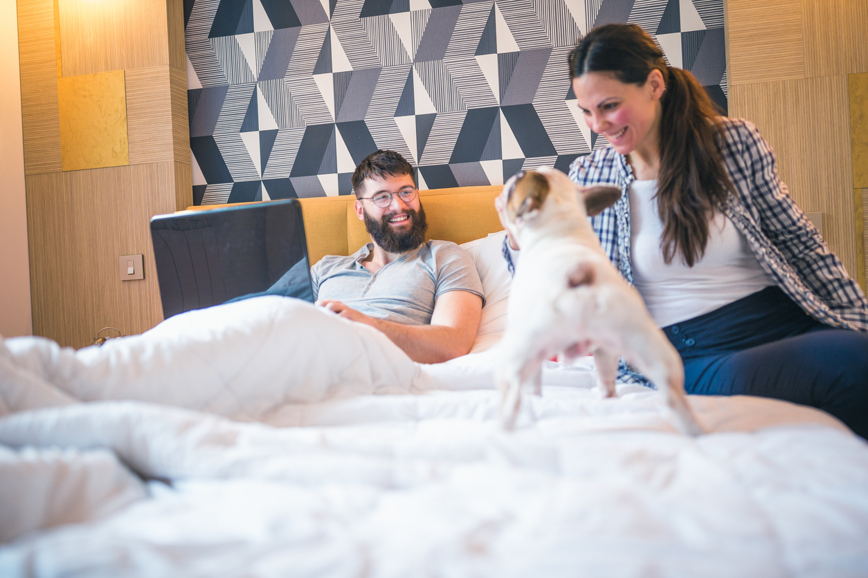 upsell-pet-friendly-hotels