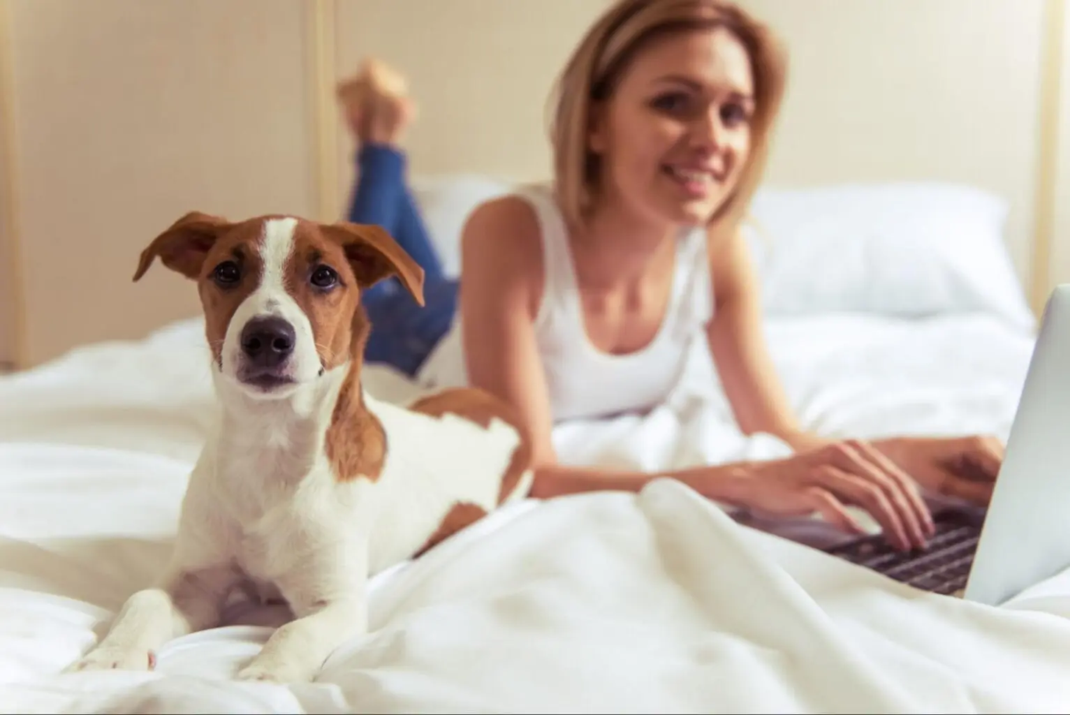 challenges-for-hotels-that-are-pet-friendly